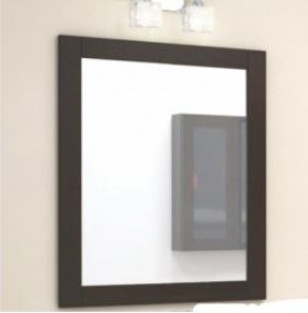 ESPEJO SCHNEIDER NATURE 60 WENGUE